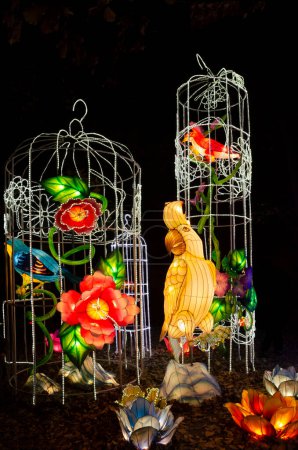 Téléchargez les photos : Festival lanterne insolite culture chinoise perroquets bizarres dans une orientation de paysage cage. - en image libre de droit