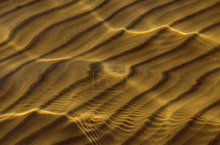 Téléchargez les photos : Grand fond motifs fantaisistes sur le sable à travers l'eau orientation horizontale bon pour le papier peint photo. - en image libre de droit