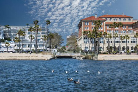 Photo for USA California Los Angeles Santa Monica District May 13, 2023 ocean shore with beautiful houses, birds floating on the water and sky with clouds. - Royalty Free Image
