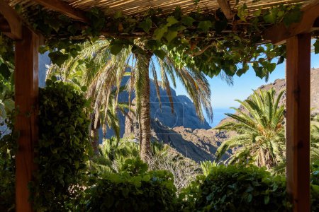 Montagnes Teno sur Tenerife à partir de terrasse ombragée. Îles Canaries, Espagne