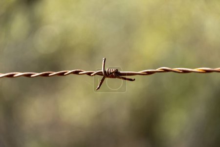 rusty barbed wire with out-of-focus background