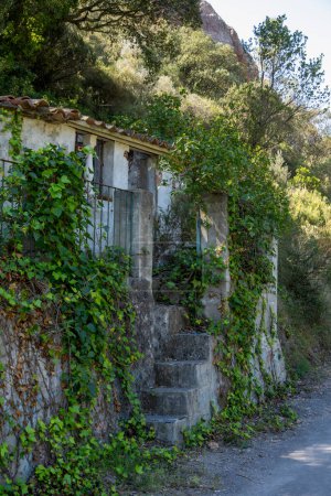 Foto de Ruinas de una casa abandonada en un entorno rural - Imagen libre de derechos