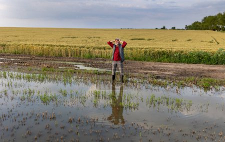 Téléchargez les photos : Agriculteur âgé bouleversé debout à côté de l'étang de champs agricoles inondés avec des cultures au printemps - en image libre de droit