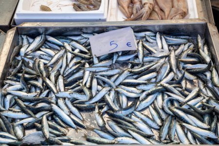Sardinen und andere Meeresfrüchte frisch ausgestellt auf Bauernmarkt, Nikiti, Sithonia, Griechenland. Selektiver Fokus.