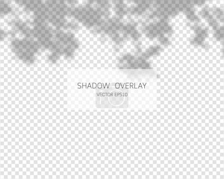 Efecto de superposición de sombras. Sombras naturales aisladas sobre fondo transparente. Ilustración vectorial. 