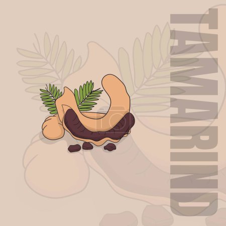 Illustration for Tamarind vector illustration design with tamarind leaf - Royalty Free Image