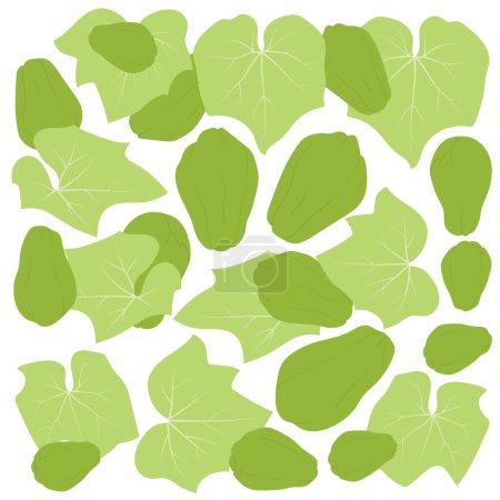 Téléchargez les illustrations : Chayote Imprimer motif fond dans le design vert - en licence libre de droit