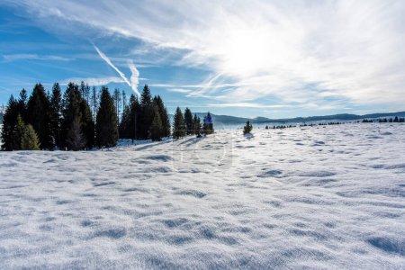 Schneepanorama mit blauem Himmel im Hintergrund, die Gipfel der Hochebene von Asiago und die Wälder der Piana di Marcesina mit kleinen Almhütten in Marcesina Enego Vicenza Veneto Italien
