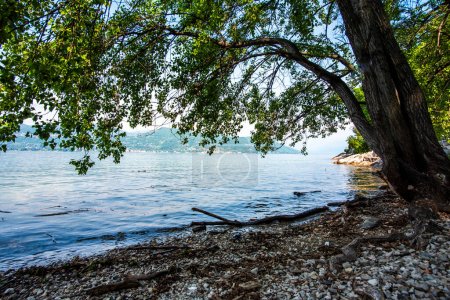 Foto de Vista panorámica del lago Maggiore desde las costas lombardas con árboles y pequeños puertos con encantadores barcos de pesca en el lago Maggiore en la provincia de Varese Lombardía Italia - Imagen libre de derechos