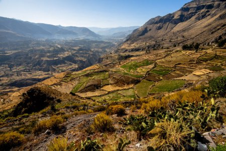 Photo for Barren plateau at dawn over the Colca Canyon in Arequipa, Peru - Royalty Free Image