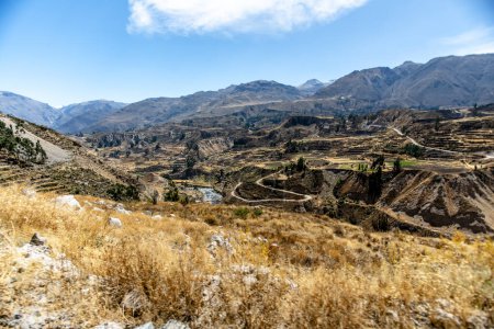 mountain landscape of the Andes and highlands of Peru in the province of Arequipa near the Colca Canyon with valleys and cliffs illuminated by the summer sun with trees and vegetation
