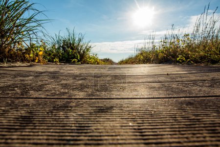 wooden walkway between autumn vegetation and sand dunes in autumn at the Lido of Venice