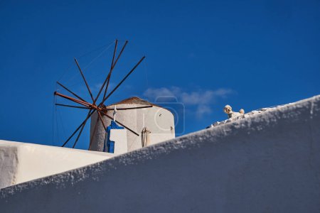 Photo for Windmill and Traditional White Houses - Oia Village, Santorini, Greece - Royalty Free Image
