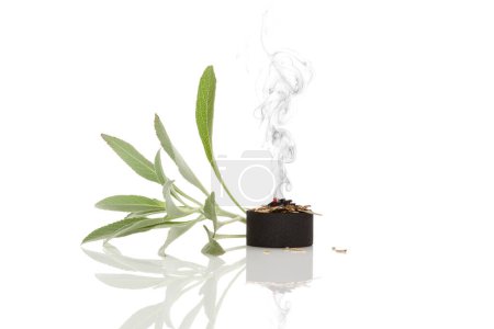 Photo for White sage burning on charcoal isolated on white background. Purifying cleansing ceremony. Smudging. Salvia apiana. - Royalty Free Image