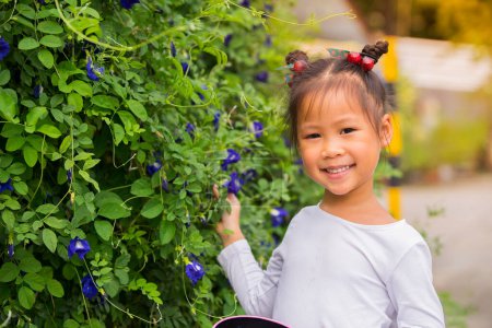 Photo for Beautiful carefree asian girl playing outdoors in field with high green grass. little child picking up pea butterfly flowers. - Royalty Free Image