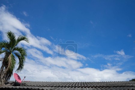Photo for Blue sky and clouds palm tree and satellite dish on the roof Filmed in Chiang mai City ,Thailand - Royalty Free Image