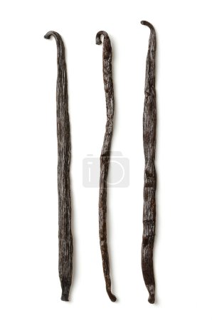 Photo for Dried Bourbon vanilla pods, vanilla beans from above. Three whole, dark brown and ripe fruits of Vanilla planifolia, a spice with distinctive flavor, used in baking. Top view, on white background. - Royalty Free Image