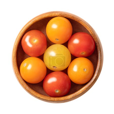 Photo for Colorful cherry tomatoes, in a wooden bowl. Fresh and ripe type of small and round cocktail tomatoes, of red, yellow and orange color. Solanum lycopersicum var. cerasiforme. Close-up, from above. - Royalty Free Image