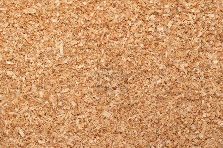 Photo for Coarse sawdust, wood chips, small chippings of wood, formed by sawing dried spruce. By-product and waste product, mainly used as additive for chipboards and wood pulp. Surface, background, from above. - Royalty Free Image