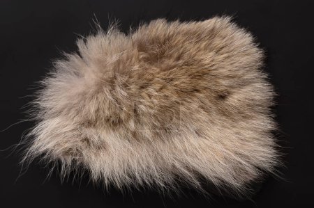 Photo for Real grey wolf fur, from above. Wolf pelt with silky, fluffy and bushy fur fibers, primarily used for scarfs. Thick growth of hair that covers the skin of gray wolves, Canis lupus, a large canine. - Royalty Free Image