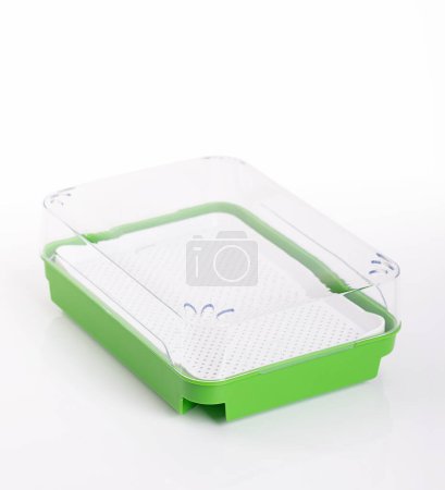 Photo for Cress growing kit. Green germination tray with white sieve insert and transparent cover. Sprouting set for sprouting seeds, and for growing shoots on the windowsill, without soil, and on water basis. - Royalty Free Image