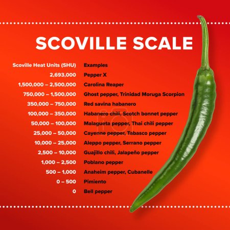 Tisch mit Scoville-Skala für die beliebtesten Chilischoten. Scoville Heat Units, SHU, Messung von Schärfe, Würze oder Hitze, basierend auf der Konzentration von Capsaicinoiden, die Capsaicin vorherrscht.
