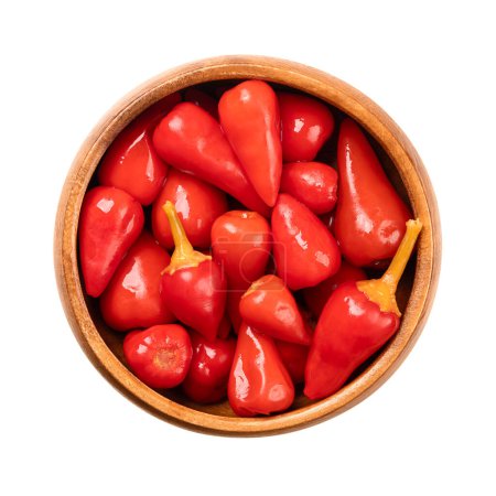 Pickled red hot baby peppers, in a wooden bowl. Small hot chilis, pepperonis, or Capsicum pepper, pasteurized and preserved in a vinegar brine and salt. Close-up, from above, isolated, food photo.