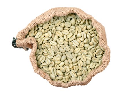 Granos de café verdes crudos en un saco abierto, de arriba. Granos de café Arabica verdes sin tostar, semillas de bayas de Coffea arabica, también café Arabian, de montaña o arabica, en una bolsa de yute abierta.