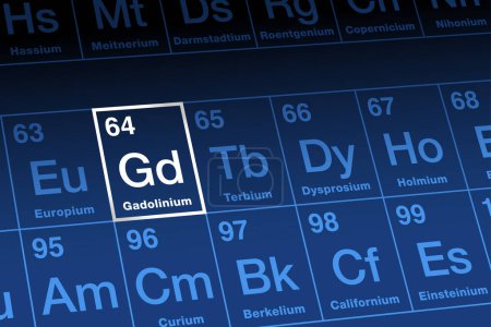 Illustration for Gadolinium, on periodic table. Ductile, ferromagnetic rare earth metal in the lanthanide series, with a variety of specialized uses. Atomic number 64, and element symbol Gd, named after Johan Gadolin. - Royalty Free Image