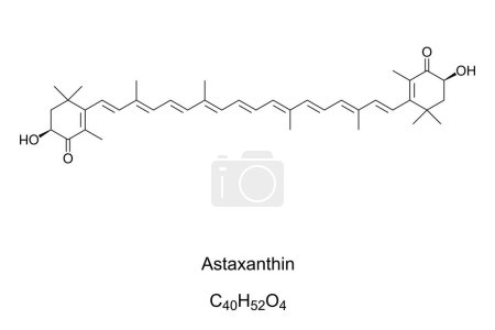 Téléchargez les illustrations : Astaxanthin, red coloring pigment, chemical formula. Animals who feed on the astaxanthin producing algae, salmon, flamingos and crustaceans, reflect the red-orange pigmentation. A dietary supplement. - en licence libre de droit