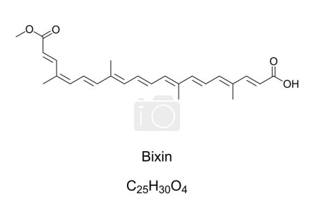 Téléchargez les illustrations : Bixin, cis- or alpha-Bixin, chemical formula. Carotenoid extracted from the seeds of the achiote tree, Bixa orellana, to form annatto, a natural orange-red pigment and food coloring, e.g. for cheddar. - en licence libre de droit