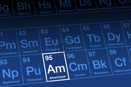 Illustration for Americium on periodic table. Radioactive metallic element in the actinide series. With the atomic number 95 and symbol Am, named after the Americas. Used in smoke detectors and as neutron source. - Royalty Free Image