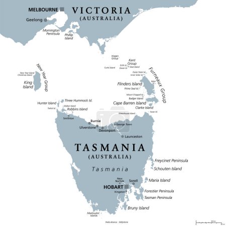 Ilustración de Tasmania and the surrounding area, gray political map. Australian island state with capital Hobart, south of Victoria and the Australian mainland, encompassing island Tasmania and surrounding islands. - Imagen libre de derechos