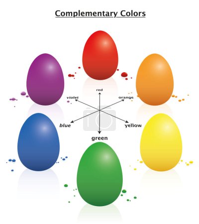 Illustration for Easter eggs complementary infographic. Opposing colored eggs explaining the color theory - red green, orange blue, yellow violet. Isolated vector illustration on white background. - Royalty Free Image