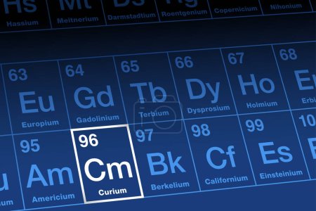 Illustration for Curium on periodic table. Radioactive metallic element in the actinide series with atomic number 96 and symbol Cm, named after Marie and Pierre Curie. Used to make heavier actinides for power sources. - Royalty Free Image