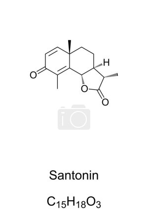 Ilustración de Santonin, fórmula química. Extraído del ajenjo de mar, Artemisia maritima, era una droga, ampliamente utilizada como antihelmíntico, para expulsar gusanos parásitos. La artemisina es un derivado hidroxilado de la santonina. - Imagen libre de derechos