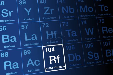 Illustration for Rutherfordium, on the periodic table. Radioactive, synthetic transactinide element with element symbol Rf and atomic number 104. Named after physicist Ernest Rutherford. No significant industrial use. - Royalty Free Image
