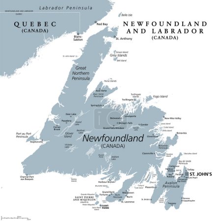 Insel Neufundland, graue politische Landkarte. Teil der kanadischen Provinz Neufundland und Labrador mit der Hauptstadt St. Johns. Insel vor der Küste des nordamerikanischen Festlandes südwestlich der Labrador-See.