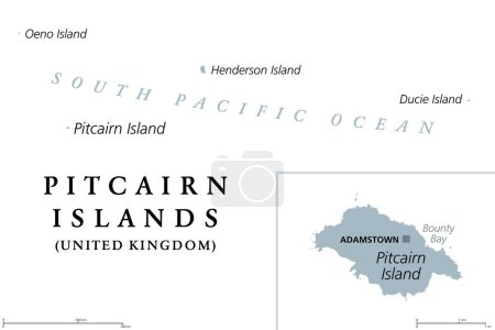 Ilustración de Islas Pitcairn, Territorio Británico de Ultramar, mapa político gris. Islas Pitcairn, Henderson, Ducie y Oeno. Grupo de islas volcánicas del Pacífico Sur. Mutiny on the Bounty tuvo lugar en la isla Pitcairn. - Imagen libre de derechos