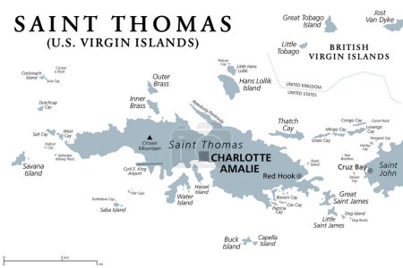 Ilustración de Santo Tomás, Islas Vírgenes de los Estados Unidos, mapa político gris. Una de las tres islas más grandes de la USVI. La capital territorial y puerto de Charlotte Amalie también se encuentra en la isla. Vector - Imagen libre de derechos