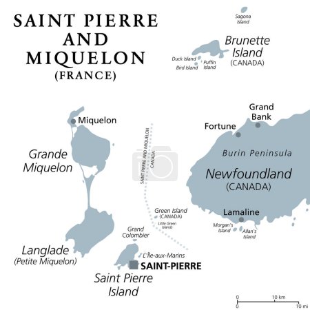 Illustration for Saint Pierre and Miquelon, gray political map. Archipelago and self-governing territorial overseas collectivity of France in the North Atlantic, near Canadian province of Newfoundland and Labrador. - Royalty Free Image