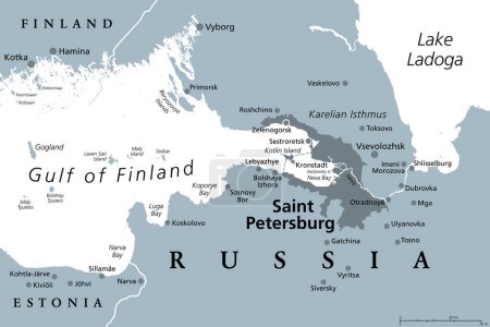 Saint Petersburg area, gray political map. Second-largest city in Russia, formerly known as Petrograd and later Leningrad. Situated on the Neva River, at the head of Gulf of Finland in the Baltic Sea.