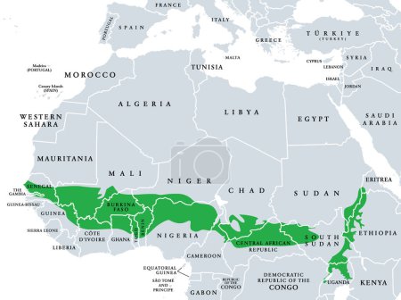 Ilustración de Sudanian savanna, mapa político. Cinturón ancho de sabana tropical en todo el continente africano, dividido en dos ecorregiones. Oeste (Atlántico a Nigeria) y este de Sudán sabana (Camerún a Etiopía). - Imagen libre de derechos