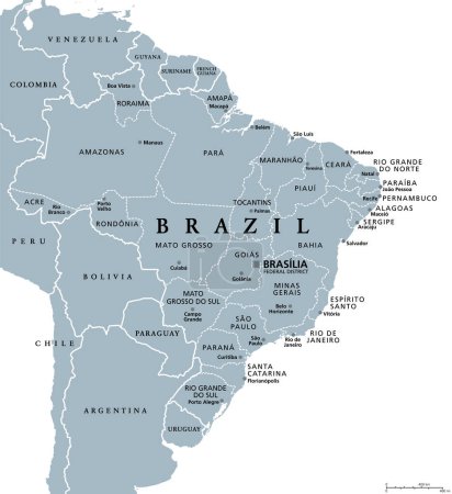 Illustration for States of Brazil, gray political map. Federative units with borders and capitals. Subnational entities with certain degree of autonomy, forming the Federative Republic of Brazil with capital Brasilia. - Royalty Free Image