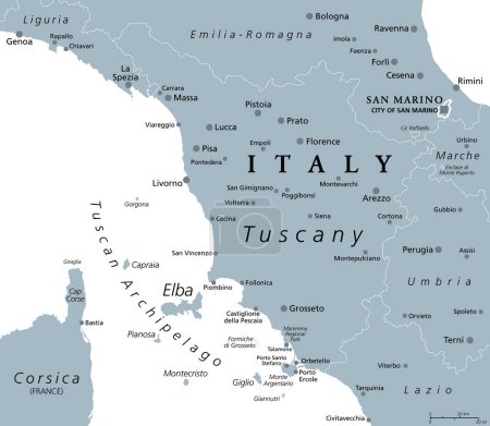 Illustration for Tuscany, region in central Italy, gray political map with popular tourist spots like Florence, Castiglione della Pescaia, Pisa, Lucca, Grosseto and Siena. The Tuscan Archipelago is part of the region. - Royalty Free Image