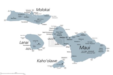 Illustration for Maui County in the U.S. state Hawaii, gray political map with Wailuku as seat. Consisting of islands of Maui, Lanai, Molokai, Kahoolawe and Molokini. With Kalawao County on the north coast of Molokai. - Royalty Free Image