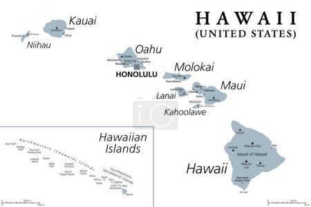 Téléchargez les illustrations : Îles Hawaïennes, carte politique grise. Archipel de 8 îles volcaniques majeures, plusieurs atolls et de nombreux îlots plus petits dans l'océan Pacifique Nord, s'étendant de l'île d'Hawaï à l'atoll de Kure. - en licence libre de droit