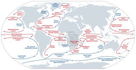 Ilustración de Mapa mundial de las principales corrientes oceánicas. Movimiento continuo y dirigido del agua de mar generado por fuerzas que actúan sobre el agua, como el viento, la temperatura, etc. Corrientes cálidas mostradas en rojo, corrientes frías en azul. - Imagen libre de derechos