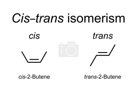 Ilustración de Cis-trans isomerismo en química, mostrado en buteno. También conocido como isomerismo geométrico o configuracional. Cis indica los grupos funcionales en el mismo lado, mientras que trans transmite que se oponen. - Imagen libre de derechos