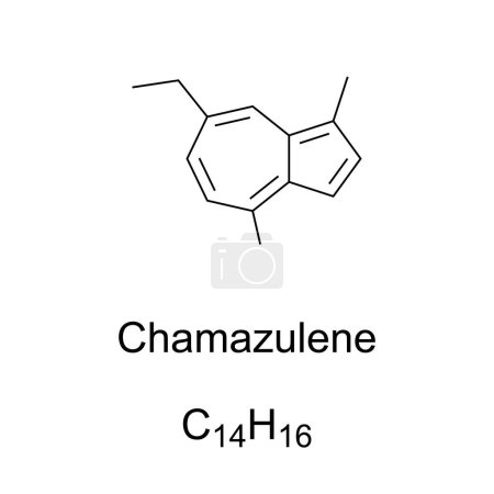 Illustration for Chamazulene chemical formula and structure. Organic aromatic compound and blue-violet derivative of azulene, found in chamomile, wormwood, yarrow, and other plants, with anti-inflammatory properties. - Royalty Free Image